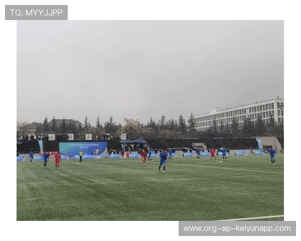 国内足球联赛阵容角力激烈，球队整体表现进步，国内足球队实力排名